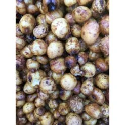 Visaasonline Noix Tigrées Mix Visready