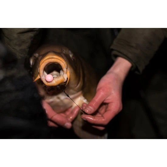 CC Moore Dairy Supreme Plus Pop Ups Elite Gamme 13-14mm – Image 5