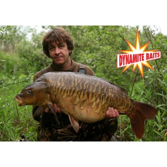 DYNAMITE BAITS Dynamite Tuff Paste Crave Boilie And Lead Wrap – Image 3
